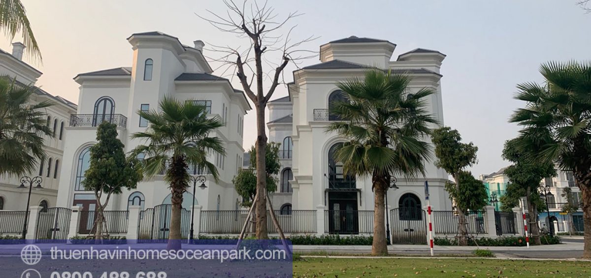 Ảnh thực tế biệt thự đơn lập Ngọc Trai Vinhomes Ocean Park