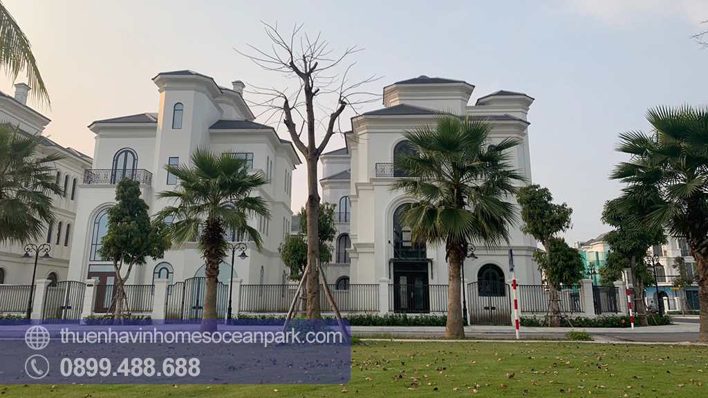 Ảnh thực tế biệt thự đơn lập Ngọc Trai Vinhomes Ocean Park