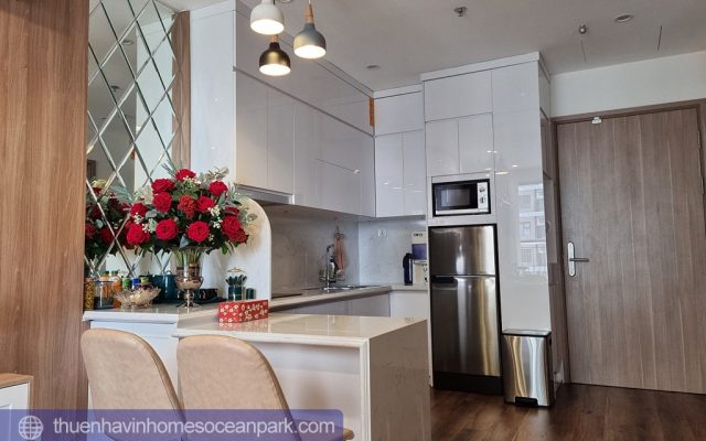 Cho thuê căn hộ Vinhomes Ocean Park 1PN+1 full nội thất
