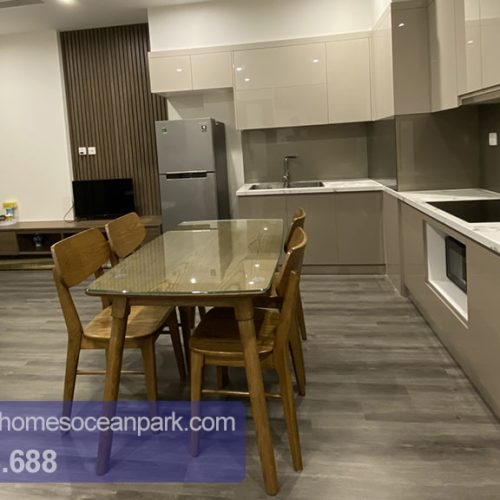 Căn 2 ngủ Ruby Vinhomes Ocean Park full đồ giá 10tr-P00