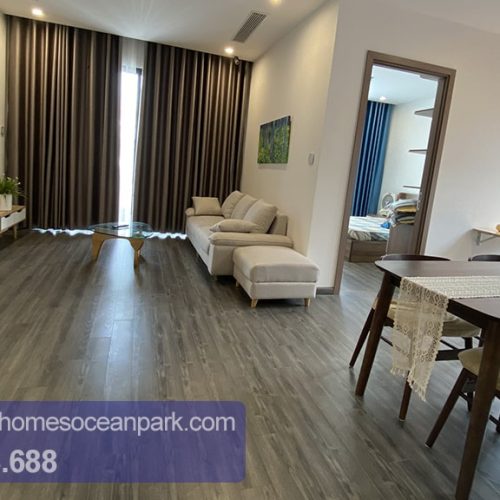 Cho thuê căn hộ Vinhomes Ocean Park 2 phòng ngủ full đồ [29]