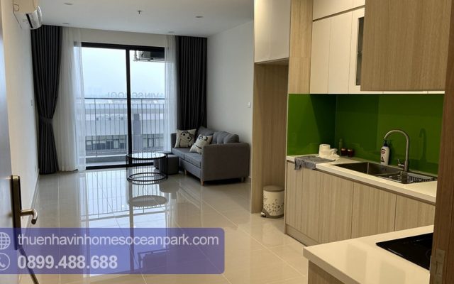 Cho thuê căn hộ chung cư 3 phòng ngủ đồ cơ bản đẹp giá tốt