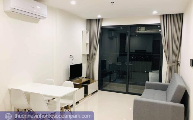 Cho thuê căn hộ 1 phòng ngủ full đồ đẹp giá tốt 1N02 - 01