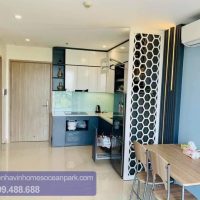 Cho thuê căn hộ 1 phòng ngủ full đồ view VinUni - P2